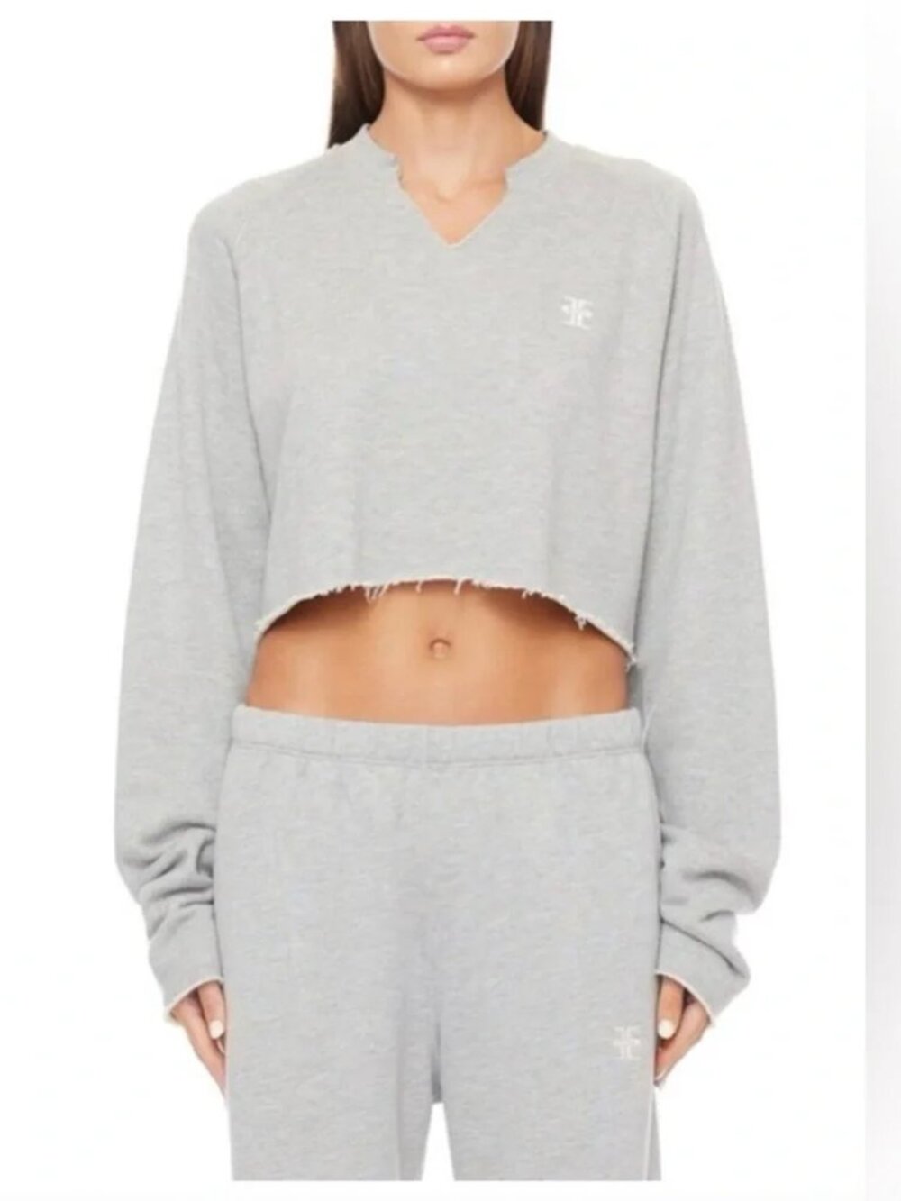 Eterne Cropped Distressed Sweatshirt in Gray